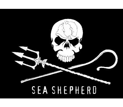 sea_shepherd